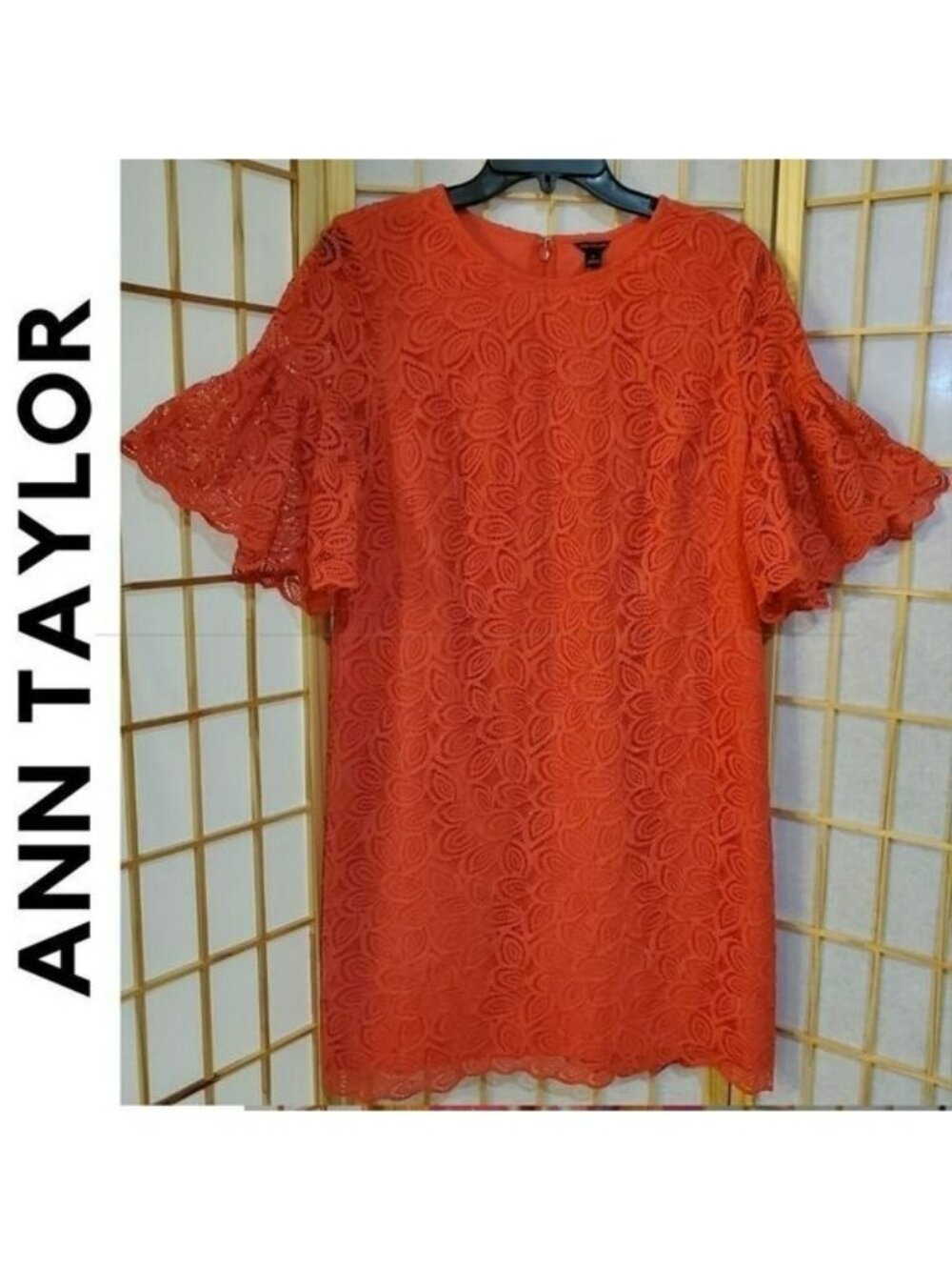 Ann Taylor Lace Ruffle Sleeve Dress Sz 10